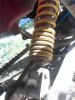 rear shock.jpg