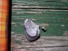 100_2938.jpg