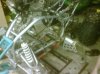 IMG00077-20100403-0028.jpg