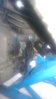 IMAG0219.jpg