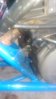 IMAG0218.jpg