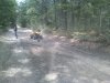 0808001350.jpg