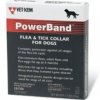 Dog Powerband.jpg