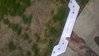 WP_20150424_001.jpg