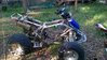WP_20150531_006.jpg