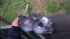 WP_20150621_010.jpg