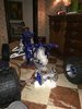 image.jpeg