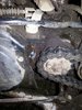 20160317_224545.jpeg