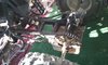 20160425_080815.jpg