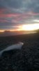 WP_20160505_001.jpg
