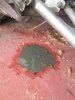20160520_055215.jpg