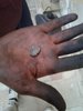 20160707_173220.jpg