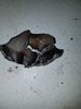 20170322_224614.jpg
