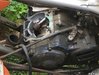 20170606_150806-1.jpg