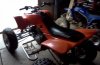 Orange- 1st phonepics 032.jpg