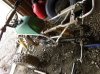 DSC00515.jpg