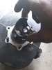 20180804_145634.jpg