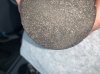 D7E9B7B4-CA0D-4277-B8E0-6C6DB162642E.jpeg