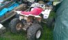 IMAG0487.jpg