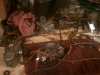 IMG_20120810_123003.jpg