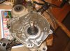 crank seal 001.jpg