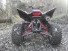 trx 2.jpg