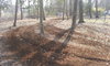 20140321_144346.jpg