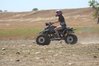 Abbie LT250R.jpg