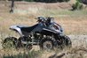 LT250R Repaired 2.jpg