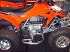 honda 250x nerfs 002.JPG