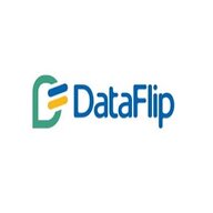 dataflip
