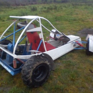 my buggy project