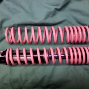 Pastel pink Shee shocks