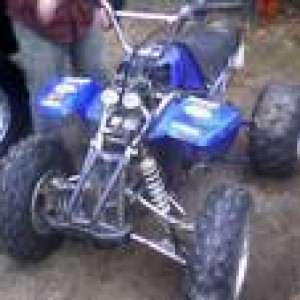 my wheeler