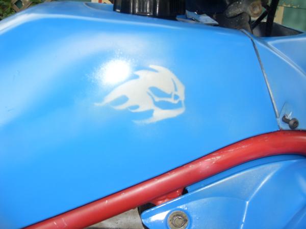 haha chrome skull flame