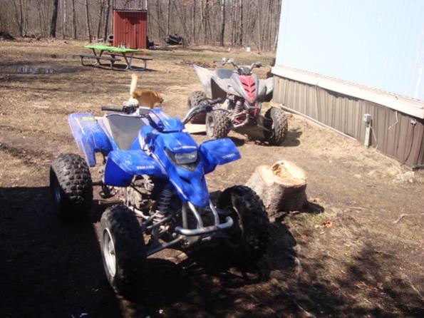 my blaster and my buddies raptor