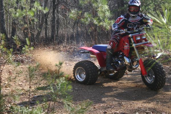 my dad roosting on the 250r
