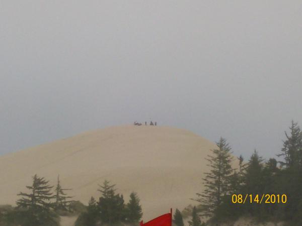 on top of the dune