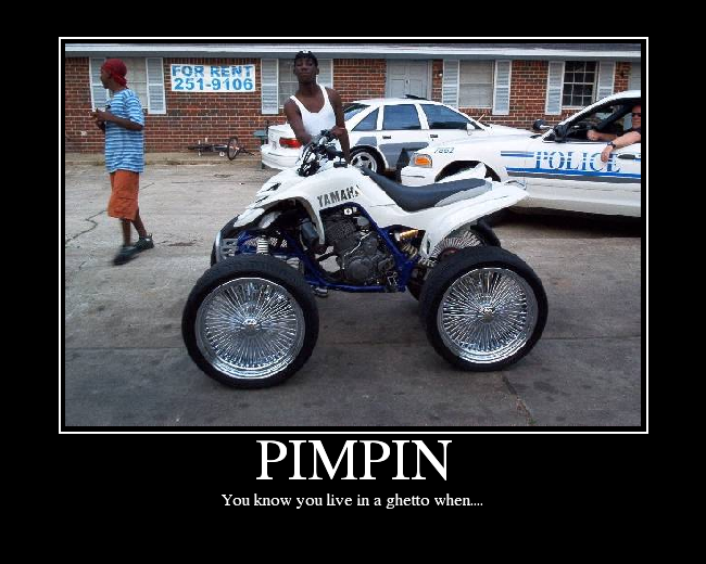 PIMPIN.png