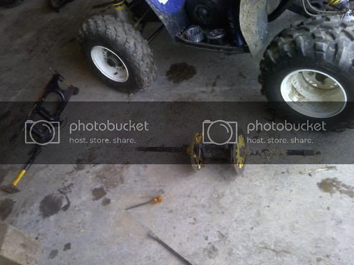 downsized_0311111547b.jpg