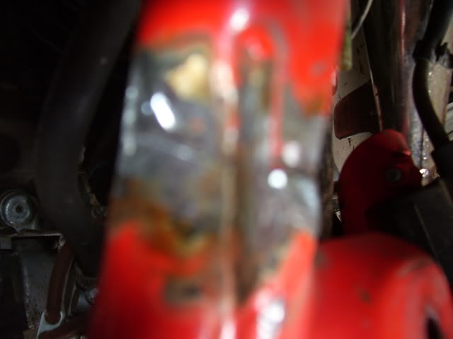 100_1272.jpg
