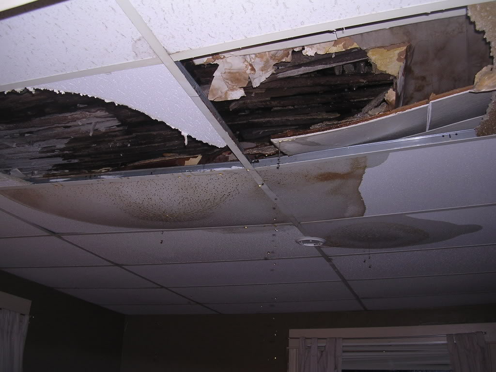 ceilingcollapse002.jpg