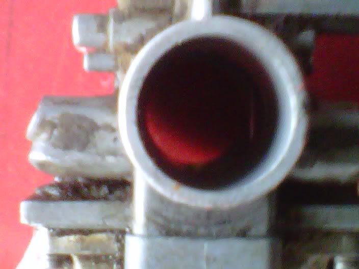 IMG00167-20110329-1842.jpg