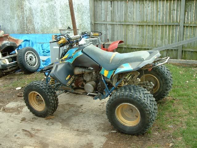 quadpic1.jpg