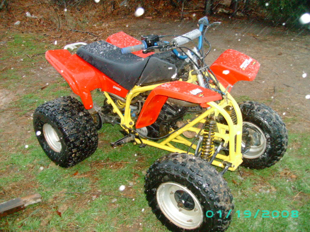 SANY0106.jpg