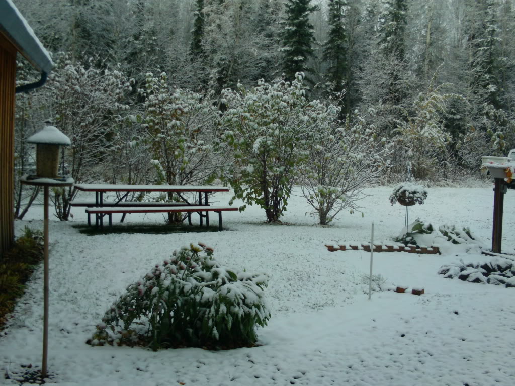 IMG00300.jpg