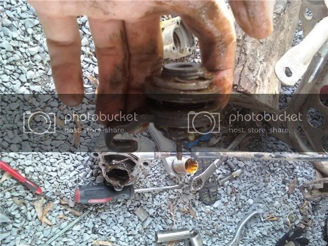 brakecaliper.jpg