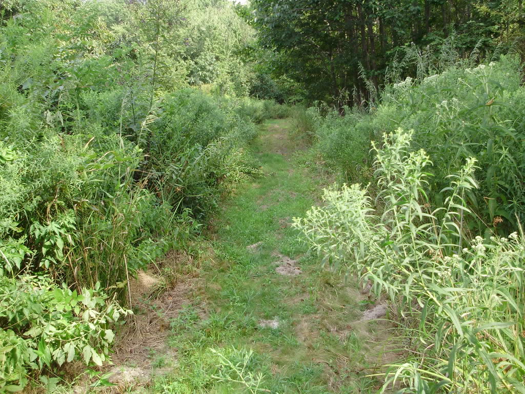 PC070001.jpg