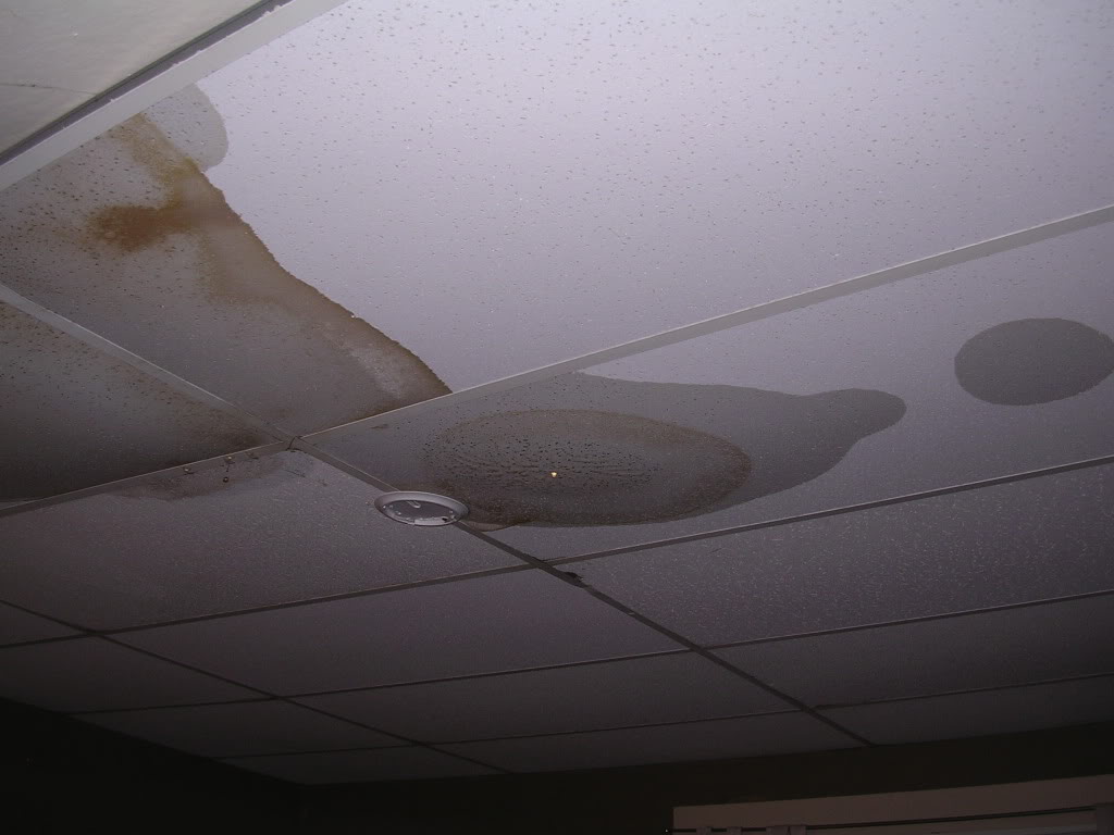 ceilingcollapse006.jpg