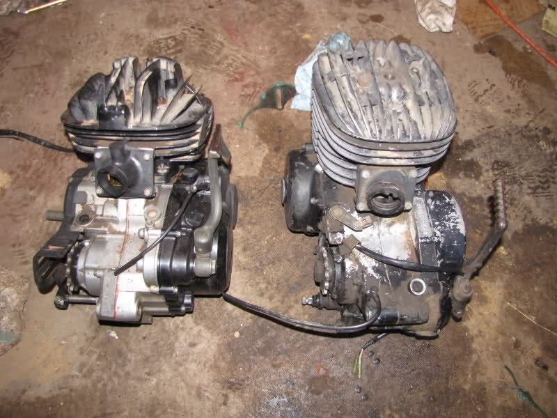141qd0z.jpg